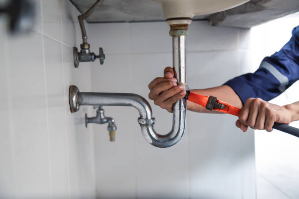 Best Clogged Drain Plumber  in Harbor Bluffs, FL